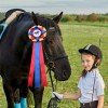 Equestrian Show Award Ribbon Bow Champion Award Rosette Ribbon Horse Show Ribbon Display Holder Horse Accessories