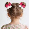 butterfly Hair clips